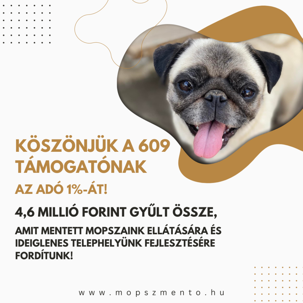 Hálás köszönet az adó 1%-ért!