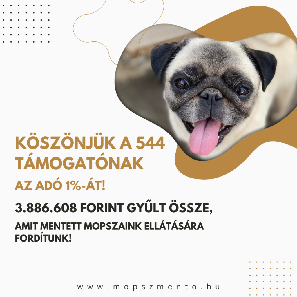 Köszönjük, hogy a mopszokat választottátok!