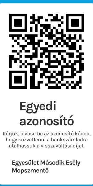 RePont-QR